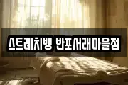 스트레치뱅 반포서래마을점