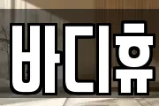 바디휴