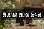 한강시술 안마원 동작점