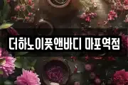 더하노이풋앤바디 마포역점