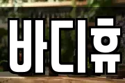 바디휴