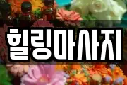 서울 용산구 청파동3가 마사지, 지압등 업체정보