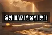 서울 용산구 한강로1가 마사지, 지압등 업체정보