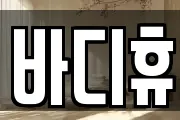 바디휴