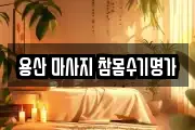 서울 용산구 한강로2가 마사지, 지압등 업체정보