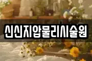 신신지압물리시술원