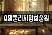 소망물리지압침술원