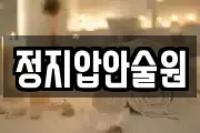 정지압안술원