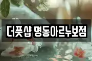 더풋샵 명동아르누보점