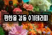 편한몸 감동 수기테라피