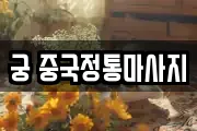 궁 중국정통마사지