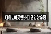 더하노이풋앤바디 고양삼송점