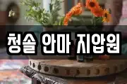 청솔 안마 지압원