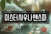미스터사우나앤스파