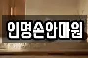 인명손안마원