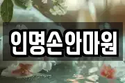 인명손안마원