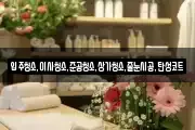 입주청소,이사청소,준공청소,상가청소,줄눈시공,탄성코트