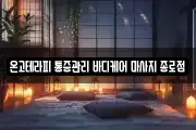 온고테라피 통증관리 바디케어 마사지 종로점