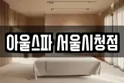 아울스파 서울시청점