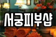 서궁피부샵
