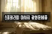 스포테라피 마사지 광화문세종