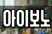 아이보노