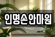 인명손안마원