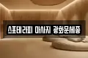 스포테라피 마사지 광화문세종