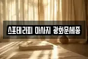 스포테라피 마사지 광화문세종