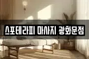 서울 종로구 내자동 마사지, 지압등 업체정보
