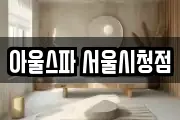 아울스파 서울시청점