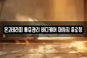 서울 종로구 도렴동 마사지, 지압등 업체정보
