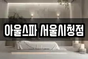 아울스파 서울시청점