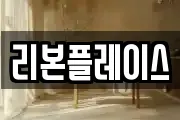 리본플레이스