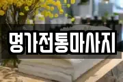 서울 종로구 숭인동 마사지, 지압등 업체정보