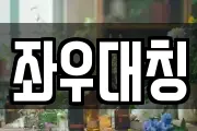 좌우대칭
