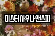 미스터사우나앤스파