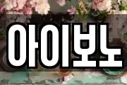 아이보노