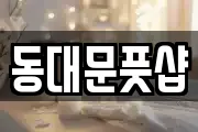 동대문풋샵