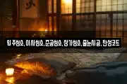 입주청소,이사청소,준공청소,상가청소,줄눈시공,탄성코트