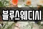 블루스웨디시