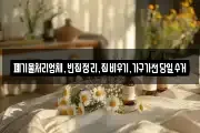 폐기물처리업체,빈집정리,집비우기,가구가전당일수거