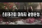 스포테라피 마사지 광화문점