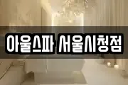 아울스파 서울시청점