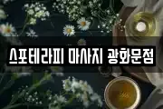서울 종로구 종로1가 마사지, 지압등 업체정보