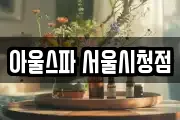 아울스파 서울시청점