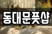 동대문풋샵