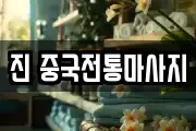 진 중국전통마사지