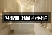 스포테라피 마사지 광화문세종
