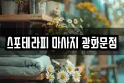 서울 종로구 창성동 마사지, 지압등 업체정보